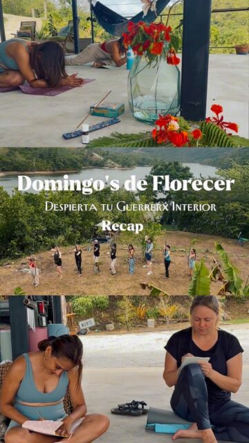 Qué bien la pasamos celebrando el 1er aniversario de Domingos de Florecer. 🥹❤️‍🔥

Compartimos, meditamos, fluimos, tiramos flechas, gritamos, soltamos… y, sobre todo, conectamos con nuestro guerrero interior. 🏹🌿

Gracias a cada persona que vino a celebrar con nosotros y a regalarse este espacio de crecimiento, presencia y comunidad. ✨

¡Qué honor seguir floreciendo juntos! Nos vemos el próximo primer domingo del mes. 🌹

#Bienestar #CrecimientoPersonal #PuertoRico #Comunidad #arquería