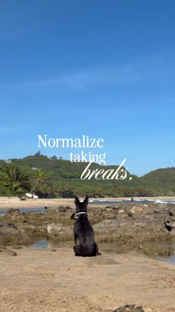 a lil Sunday reminder 🖤🐾🏝️