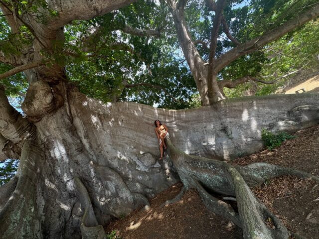 Memories from my time at the Yoga Residency at @finca_victoria pt.2🌺✨
Great tan, same amazing connections, time spent with the epic ceiba, watching horses roam free, reading, enjoying the beaches, and of course… more yoga. 💗
Soaked up every little moment. 🦋
