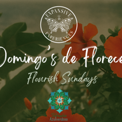 We invite you to go on a transformative retreat for a complete reset and a new outlook on life. (Banner Landscape) (3)