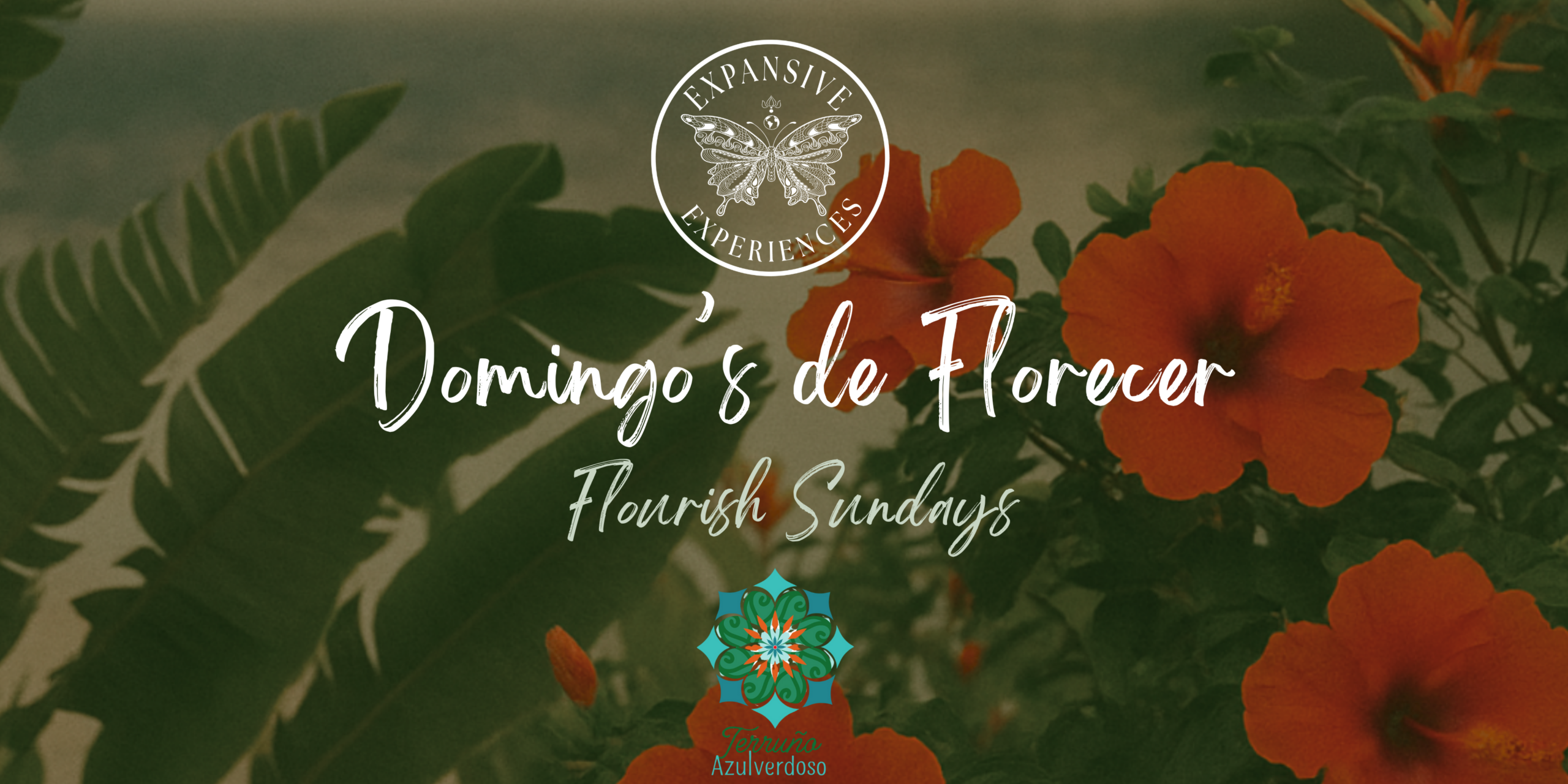 We invite you to go on a transformative retreat for a complete reset and a new outlook on life. (Banner Landscape) (3)